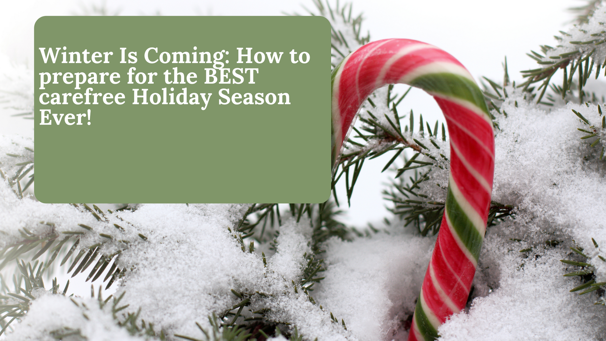 How to Prepare for the Best Holiday Season
